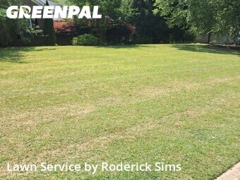 Lawn Mowing Service nearby Hoschton, GA, 