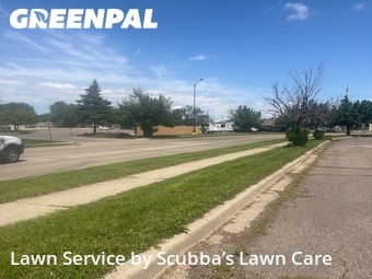 Grass Cut nearby Lincoln Park, MI, 