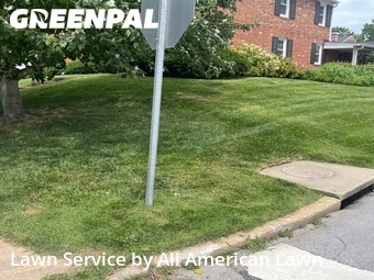 Grass Cutin Brentwood,63144,Yard Cutting by All American Lawn , work completed in Jun , 2026