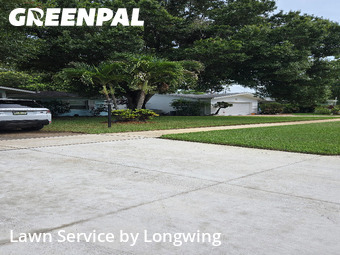 Lawn Mow nearby Largo, FL, 