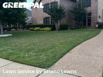 Yard Cutting nearby Flower Mound, TX, 