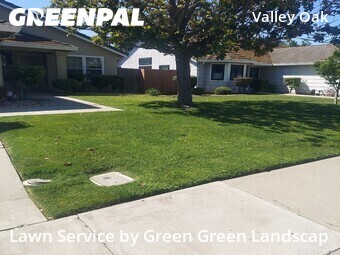 Grass Cut nearby Stockton, CA, 