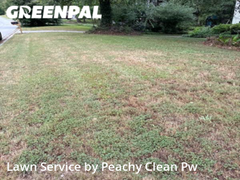 Lawn Cut nearby Hiram, GA, 
