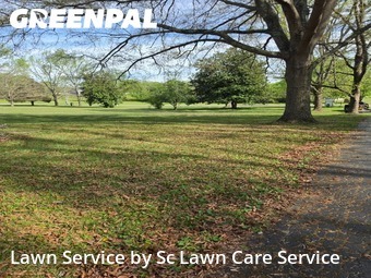 Grass Cut nearby Lebanon, TN, 
