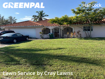 Lawn Cut nearby Cape Coral, FL, 