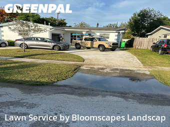 Lawn Cut nearby Sunrise, FL, 