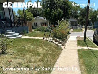 Lawn Cut nearby San Antonio, TX, 