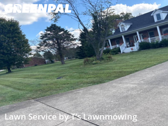 Lawn Cut nearby Shepherdsville, KY, 