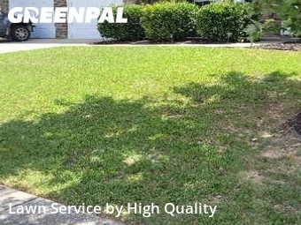 Lawn Mow nearby Jonesboro, GA, 