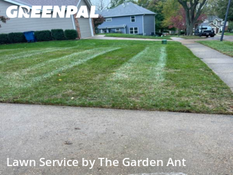 Lawn Servicein Ballwin,63011,Yard Cutting by The Garden Ant , work completed in Nov , 2025