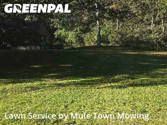 Work completed by affordable-grass-cutting-businesses-in-Brentwood-CA