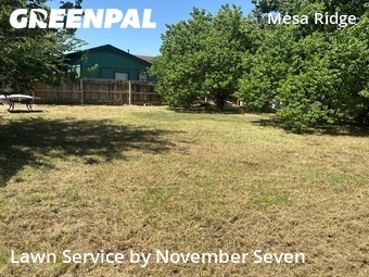 Landscaping In Round Rock,78664,Landscape Design by November Seven, work completed in Jul , 2026