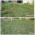 Mercado Mowers LLC 5