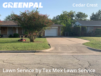 Yard Cutting nearby Fort Worth, TX, 