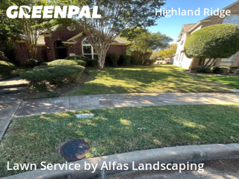 Lawn Mowin Plano,75025,Lawn Mowing by Alfas Landscaping, work completed in Nov , 2025