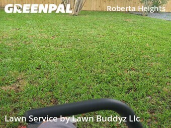 Yard Mowing nearby Ormond Beach, FL, 