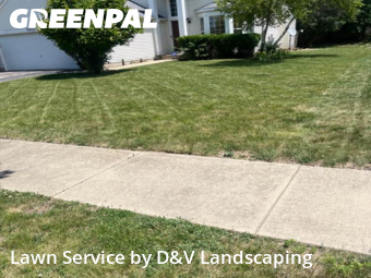 Yard Cutting nearby Joliet, IL, 