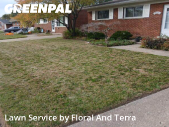 Lawn Maintenance nearby Roseville, MI, 