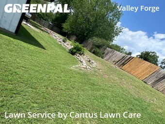 Grass Cut nearby San Antonio, TX, 