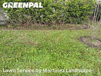 Lawn mowed in Horizon West, 34786