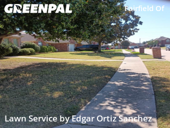 Lawn Carein Plano,75094,Lawn Mowing Service by Edgar Ortiz Sanchez, work completed in Oct , 2025