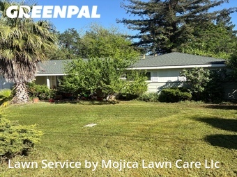 Yard Mowing nearby Citrus Heights, CA, 