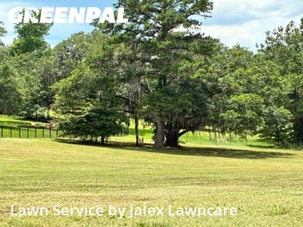 Lawn mowed in Tallahassee, 32311