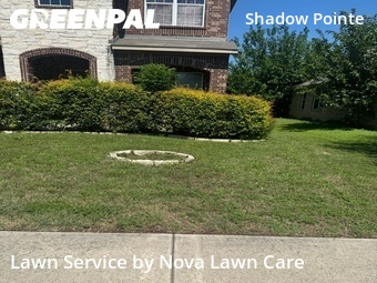 Grass Cut nearby Round Rock, TX, 