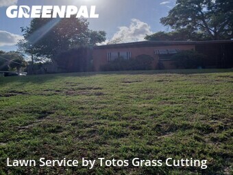 Yard Cutting nearby Apopka, FL, 