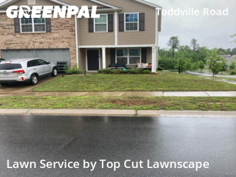 Grass Cut nearby Charlotte, NC, 