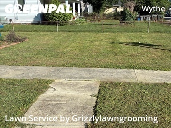Affordable Landscaping In Hampton,23661,Landscaping Renovation by Grizzlylawngrooming , work completed in Jun , 2026