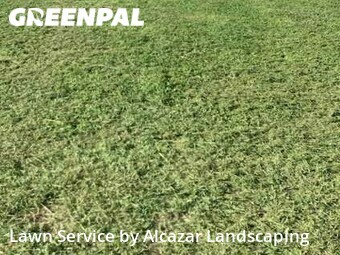 Lawn Maintenance nearby Grand Prairie, TX, 