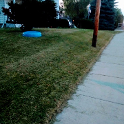 the-yard-cutting-businesses-in-Franklin-WI