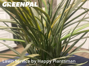 Lawn Cut nearby Dayton, OH, 