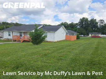 Lawn Cutting nearby Baneberry, TN, 