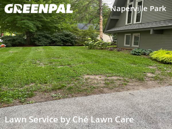 Lawn Cut nearby Naperville, IL, 