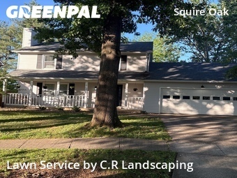 Lawn Care nearby Lexington, KY, 