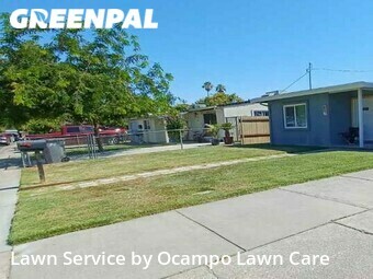 Grass Cut nearby West Sacramento, CA, 