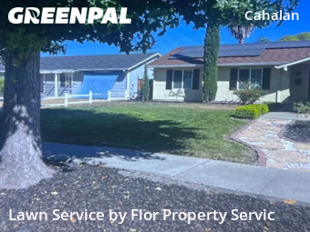 Grass Cutting nearby San Jose, CA, 