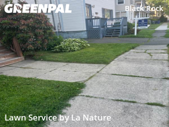 Garden Trimming in Bridgeport, 6605, Mowing Services by La Nature , work completed in Nov , 2025