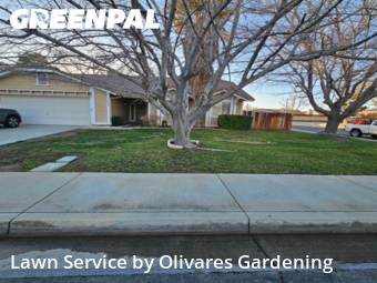 Affordable Landscaping In Palmdale,93551,Landscaping Renovation by Olivares Gardening , work completed in Feb , 2026