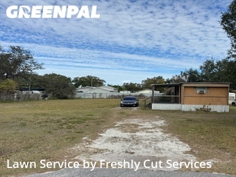Grass Cut nearby Lakeland, FL, 