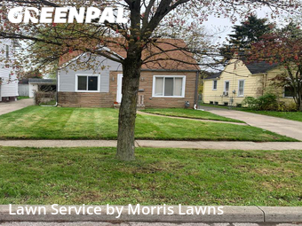 Yard Cutting nearby Toledo, OH, 