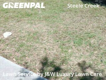 Yard Mowing nearby Charlotte, SC, 