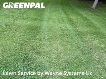 Lawn Mow nearby Jefferson City, MO, 