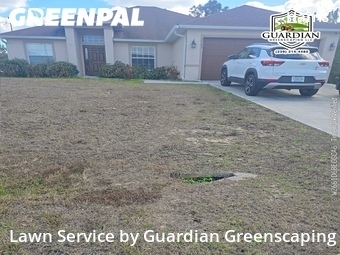 Lawn Cut nearby Lehigh Acres, FL, 