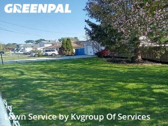 Yard Cutting nearby Brentwood, NY, 