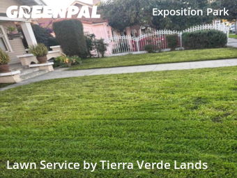 Landscapers In Los Angeles,90037,Landscaping Cleanup by Tierra Verde Lands, work completed in Jan , 2026