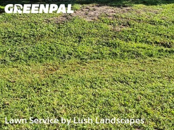 Lawn Mowing Service nearby Fort Myers, FL, 