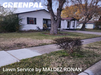 Landscaping Renovation In Garland,75040,Landscaping Maintenance by MALDEZ RONAN, work completed in Dec , 2025